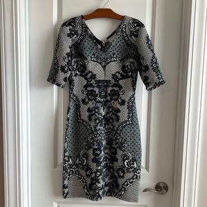 Baraschi Anthropologie Dress